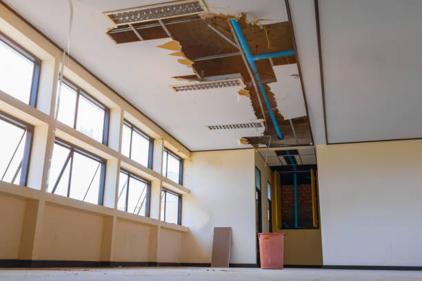 Best Carpet water damage restoration  in Bala Cynwyd, PA