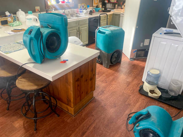 Best 24-hour water damage restoration  in Bala Cynwyd, PA