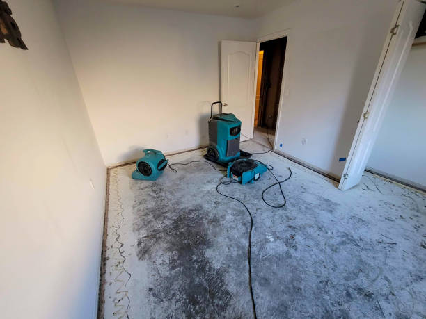 Best Fire Damage Restoration  in Bala Cynwyd, PA