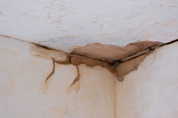 Best Residential water damage restoration  in Bala Cynwyd, PA